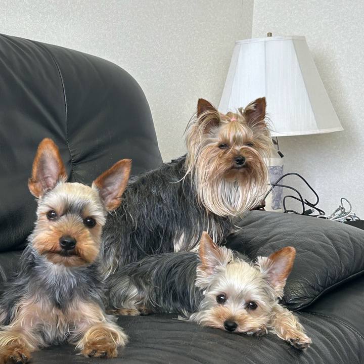 7f2d2b7c 86fa 42b5 8a59 da85f01552a7 1748689540312