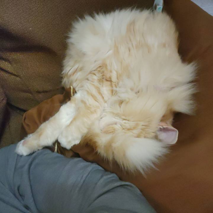 7f2d331d 088b 43bc 9624 944dad88cfac 1679319761876