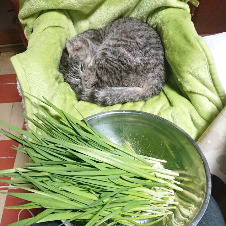 7f2d6139 6155 4c43 bfcf 35a62d89d9fd 1587884615012