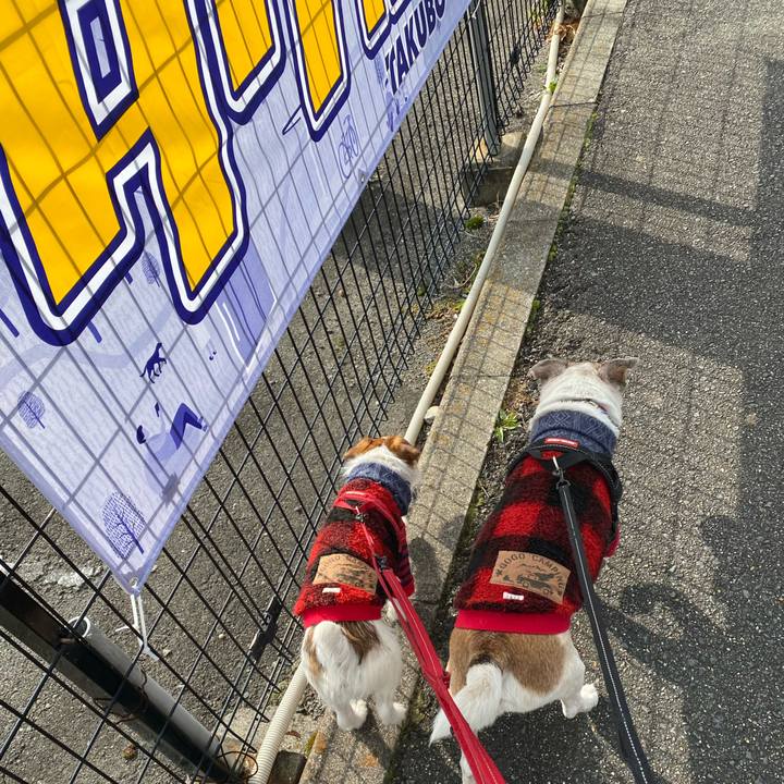 7f2dcf7c 569b 45f0 9d91 389f55807cfa 1640401554201