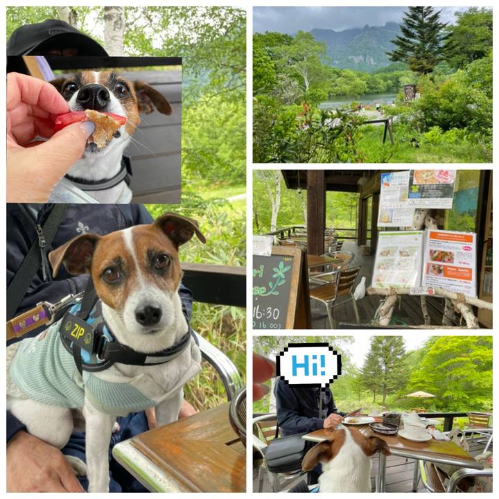 7f2e0c90 412c 495e 86c0 90421e7a26f0 1717490741584