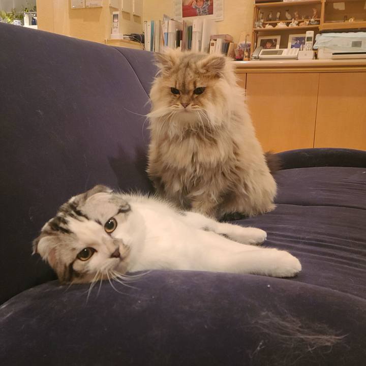 7f2e3fd7 1a3d 4992 b23f 98748d491aa6 1640163846350