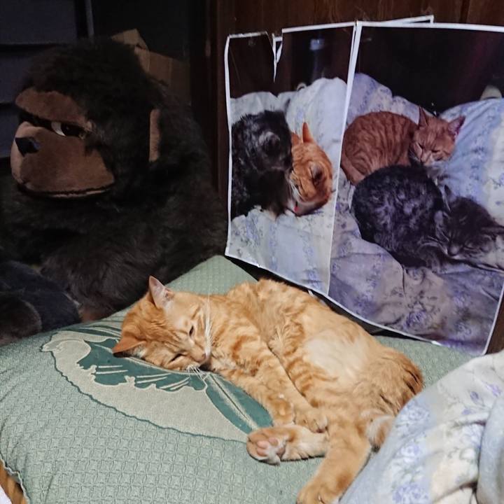 7f2e64a4 2b44 4130 9389 0b5c5aeae295 1658927146880