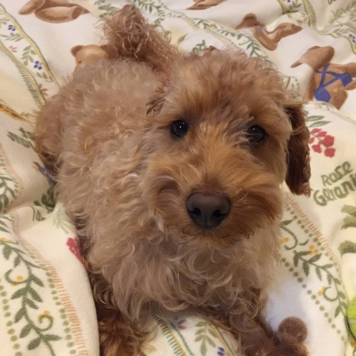 7f2e70ec e7d0 4d71 bf4a a8dc3ee2a3e6 1512300431420