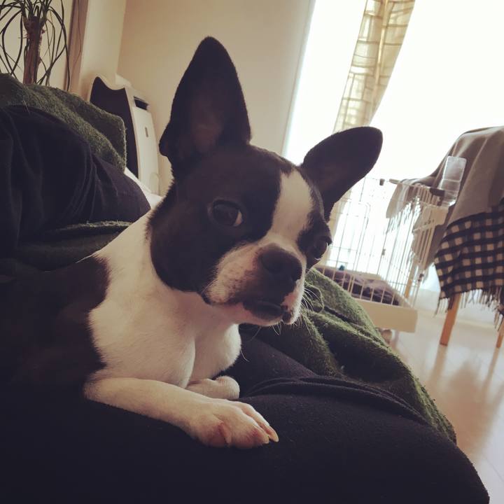 7f2e7ce1 5786 4330 86cc 6a41d4314272 1523587714439