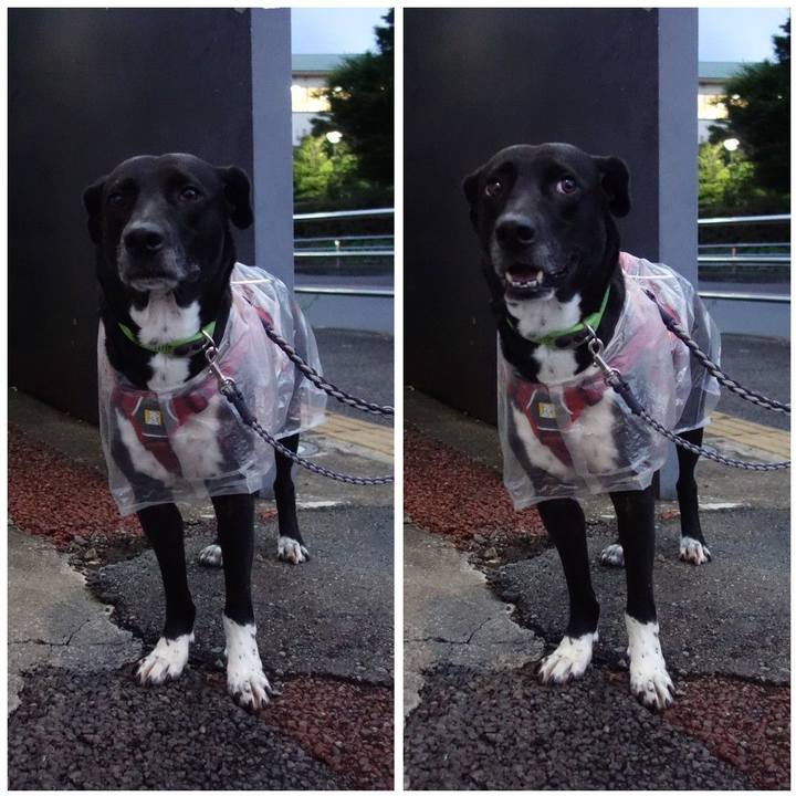 7f2ea6ba 9036 452e b9dc 1190e18620eb 1621594441992