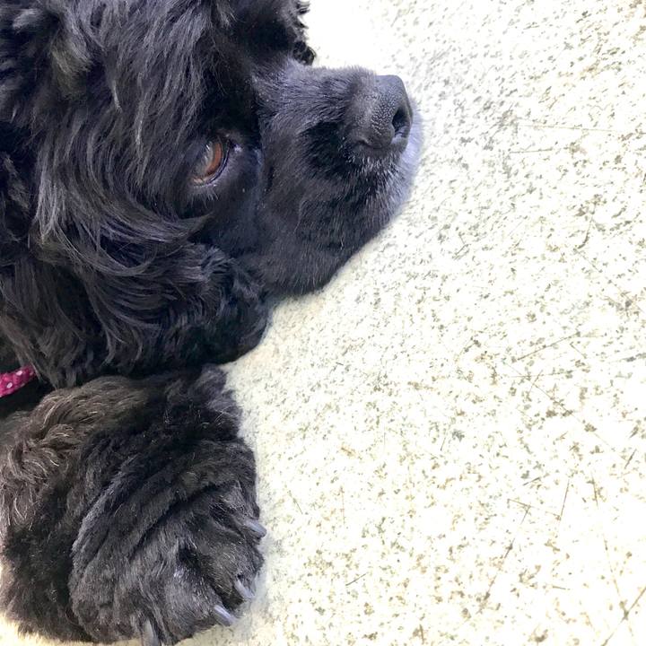 7f2f09ad 643b 4052 8bfe f18b98760943 1531281141437