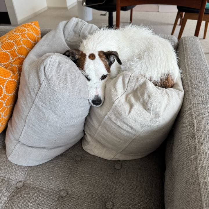 7f2f36e3 c534 43b5 86ad dde1c3b07f70 1767355657038