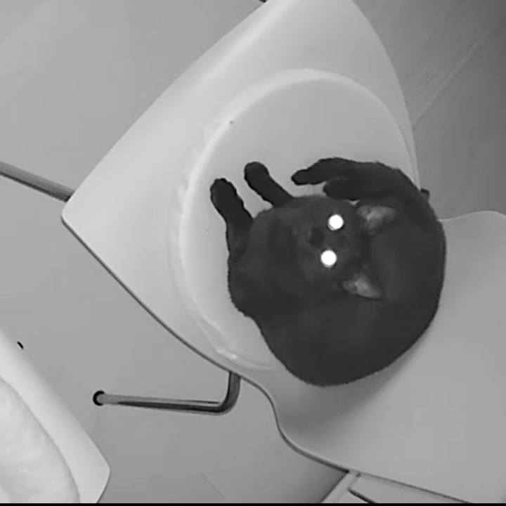 7f2f8ee6 0202 4b47 935a 5a07ea1fc34b 1529581315062