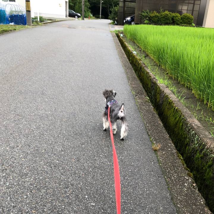 7f2fb11b 25e5 4082 89b3 87e61cde1aeb 1625962956811