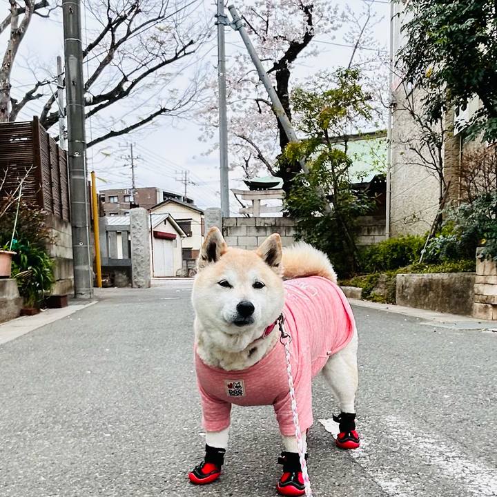 7f2fc534 8c1b 494b abc4 e18a0a2cc667 1743407377318