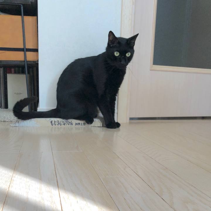 7f302650 c646 43b2 920c 7c3652a2fa74 1564057503747