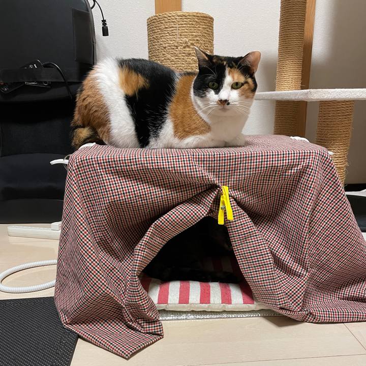 7f3041af f3fa 4784 b3cf 8c6592b47b89 1635158252289