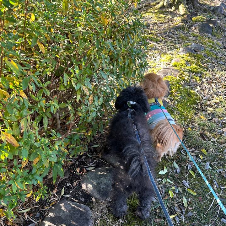 7f304317 809e 44bd 8556 044d0efca817 1702948086306