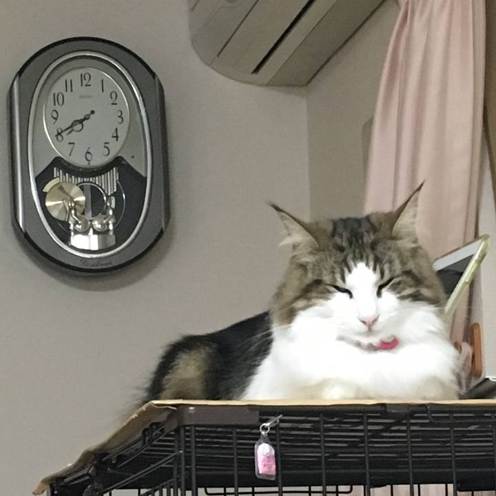 7f306503 a04a 4935 9874 e2b26c4ebe00 1508366599682