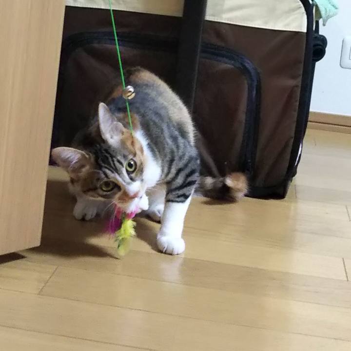 7f30d0eb faf1 4ed3 b051 dfcc082d5671 1646527818409