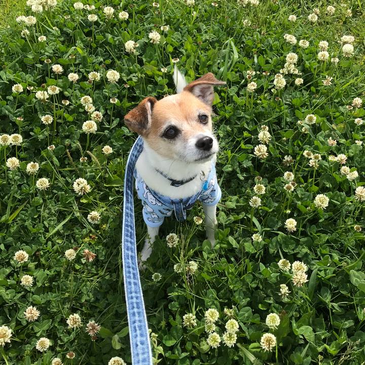 7f30d3e7 0af7 4b38 bfcc d22426dcacd0 1620013215448