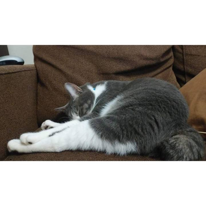 7f311579 3020 4db1 a711 769d6bbce5f1 1636452269033