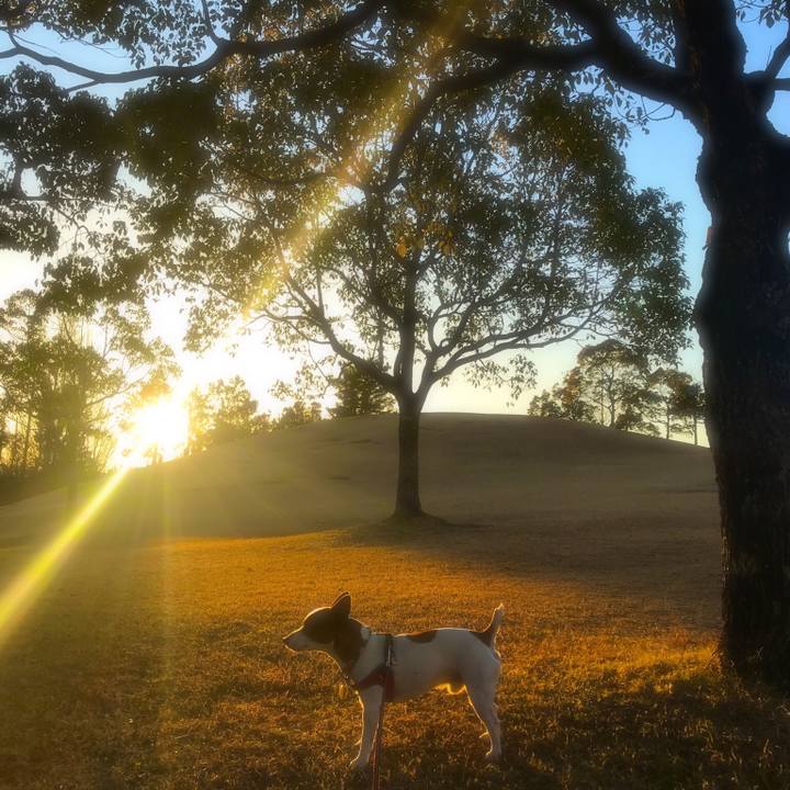 7f311879 a3e0 4ebd 9042 1fbbdb8dafb1 1517227271514