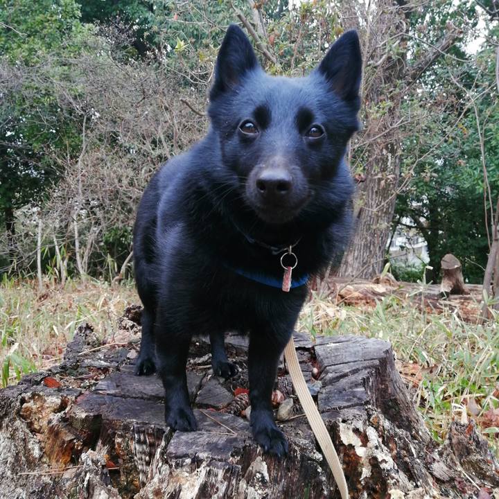 7f312824 af59 4763 bf7d dfb033ab4a7c 1614988074238