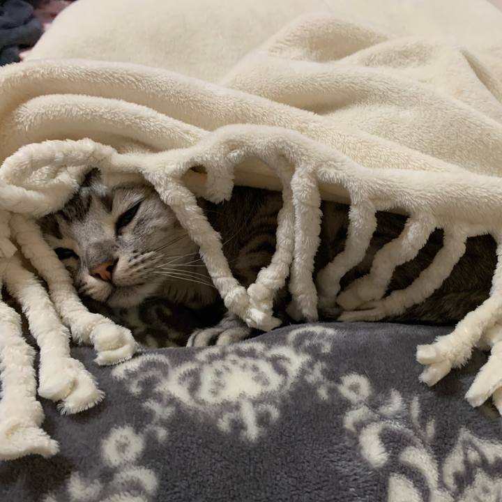 7f3146ef 0f87 46ee ba5a 46020db6885a 1577945087438