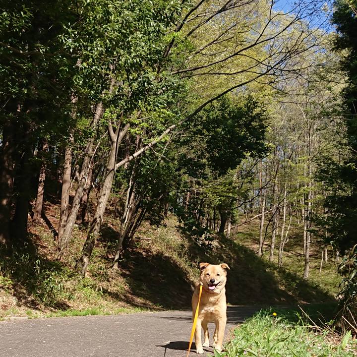 7f314701 12da 4636 b6c2 9a5939bfb74b 1619337703140