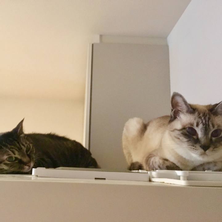 7f31527a 7543 4c4a bbe5 8678e0ff40f4 1592562801605