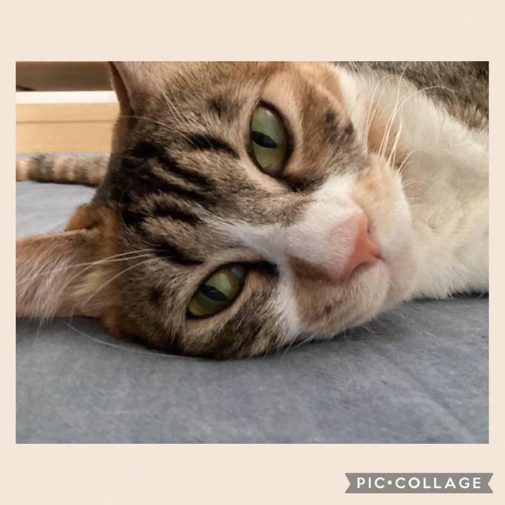 7f3155c9 1e12 4f08 bb67 12851c70f2b4 1691131362137