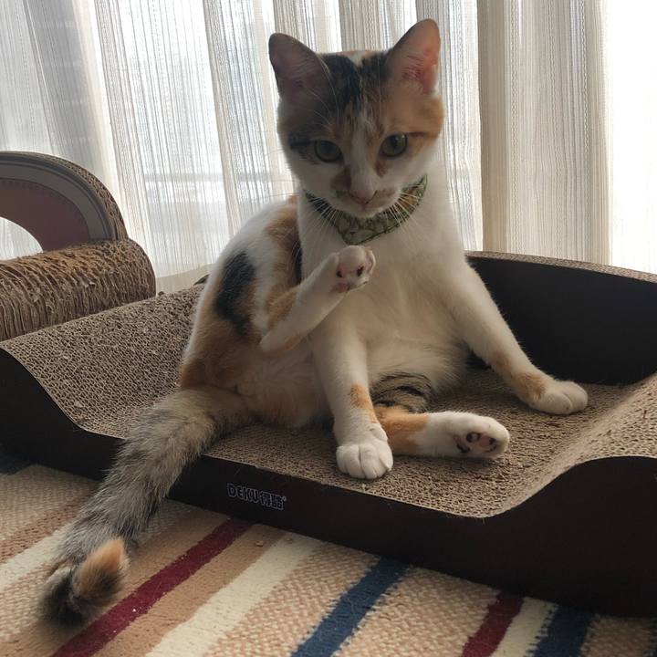 7f31a53e a9c3 45d1 b370 3c884037d195 1598081512722