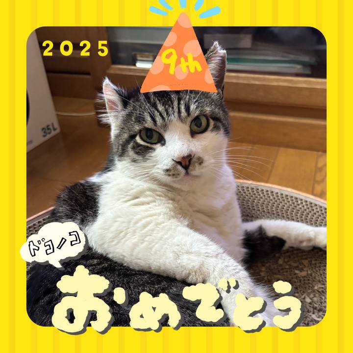 7f31acfc d0b7 4724 bb67 8c0de07b134a 1749202089460