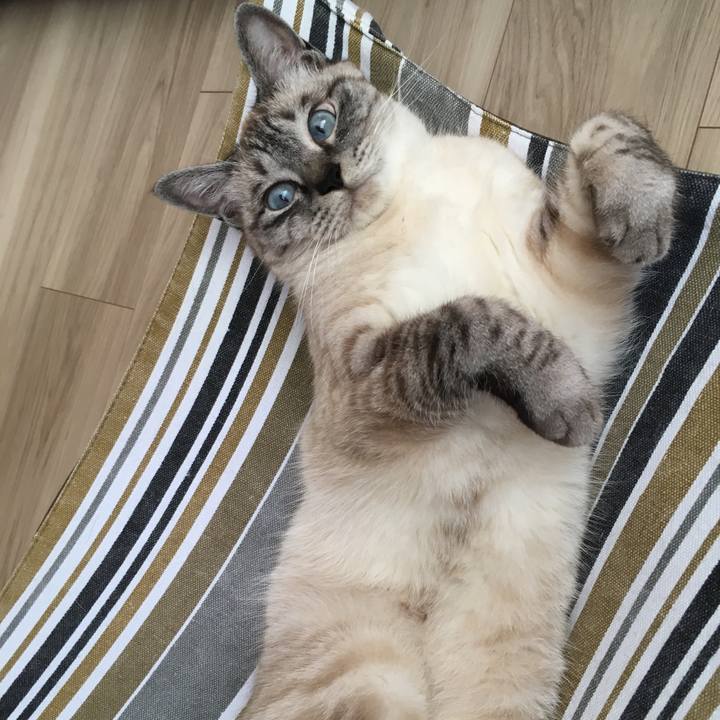 7f31bb54 2dbf 4156 8e00 338ec23d1a1a 1591401362822