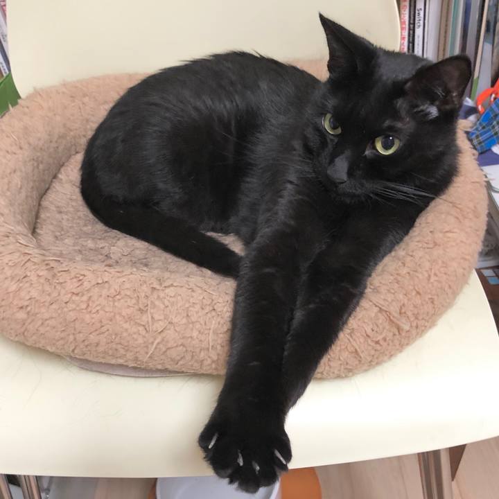 7f31c17f c514 4120 b365 83a9fce81bf3 1602770561147