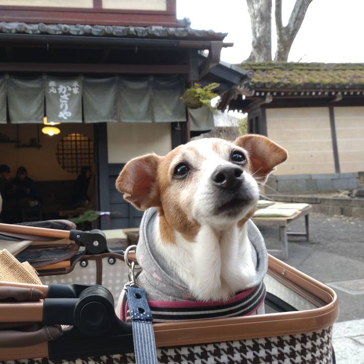 7f31c185 08e6 4602 bfe7 831af2be2f31 1768137731094