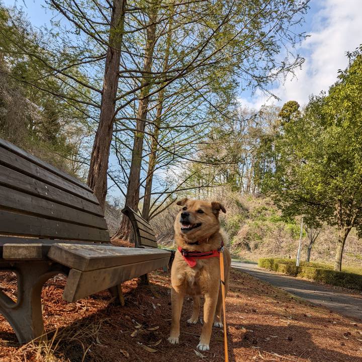 7f31d037 246c 42ae a73f 551497b58f21 1650377012830