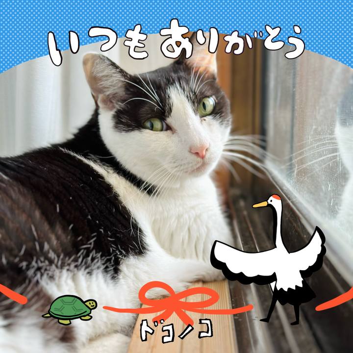 7f31d1a6 744f 49e8 a9ea 9186844c5076 1726968239861