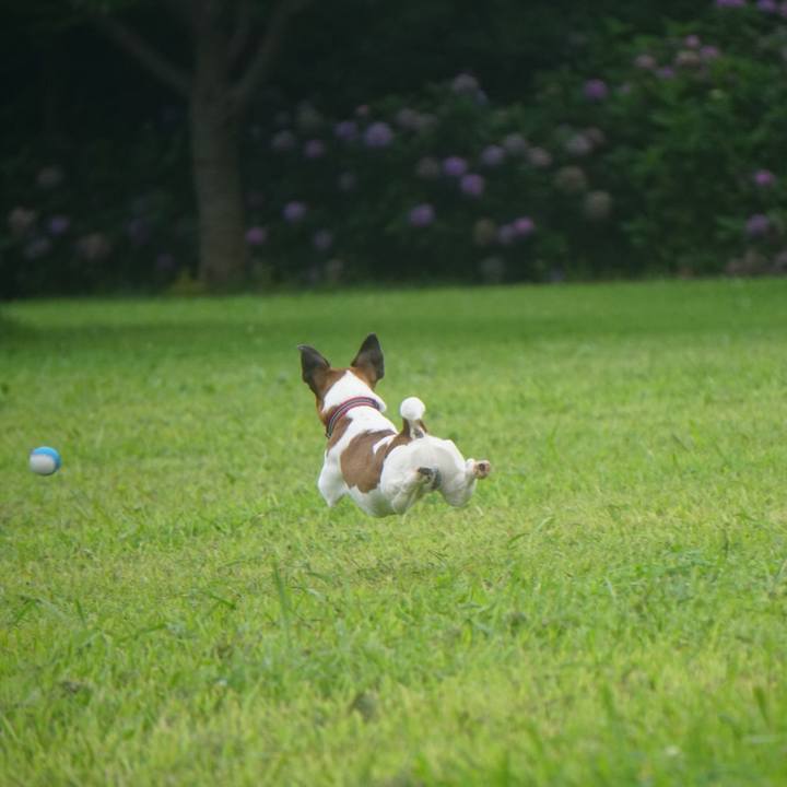 7f31dd47 4130 4bc1 b7a9 d29508353cd3 1565132353456