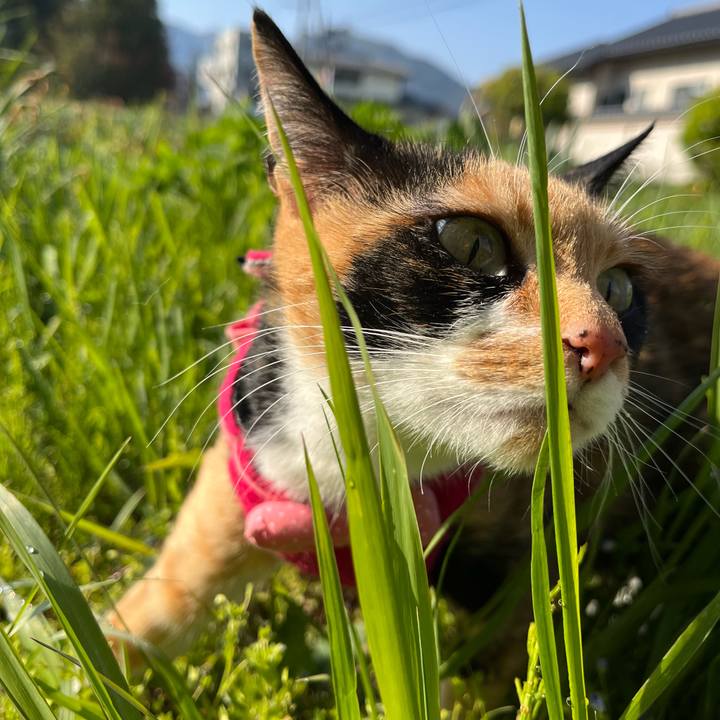 7f323d3a ab2c 4c17 98c7 fe8937e91e7d 1651618136299