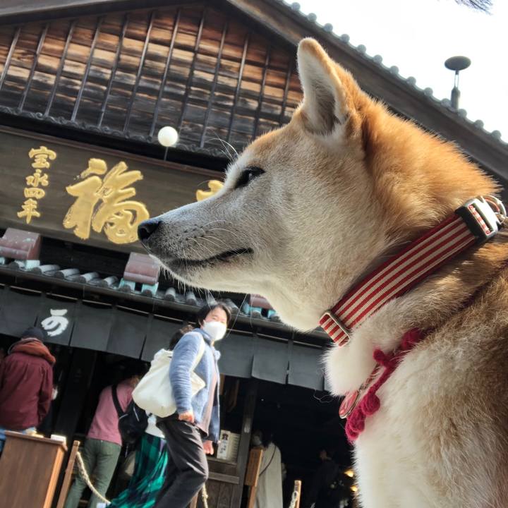 7f323fac cccb 4b51 9def aaa4528c8915 1678418847016