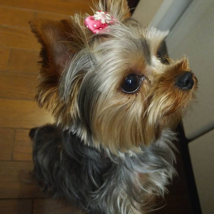 7f3244d9 2e40 4ef4 acc0 f489bdfb67fb 1563334359543