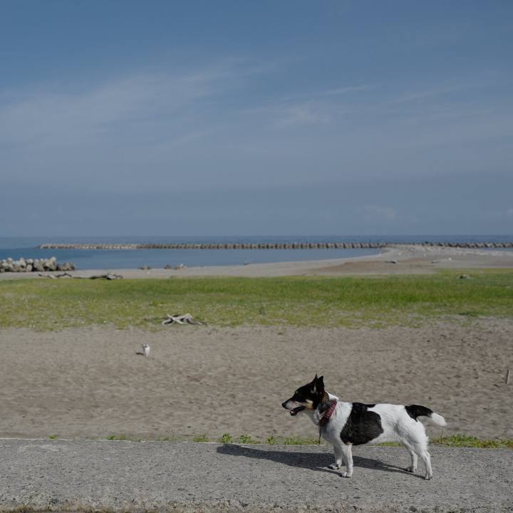 7f325951 5a5b 4a08 ba02 970df5b75a11 1560050827411