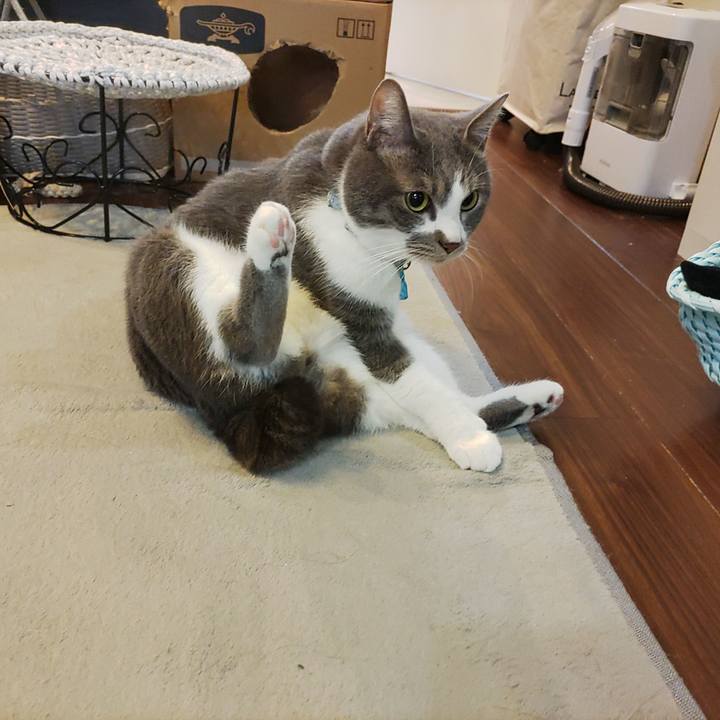 7f325d1f 5ce2 405f ae69 f7c5abca63bc 1680736292459