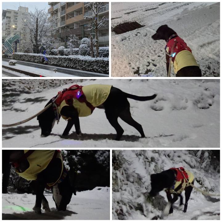 7f3293cc 90a8 4248 92a4 902ca0f6e155 1641466144297