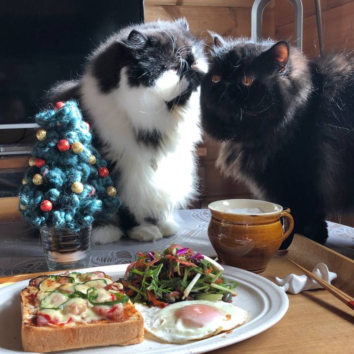 7f32a349 96e2 4fe8 8b6d 891e67a36f7f 1543118315467