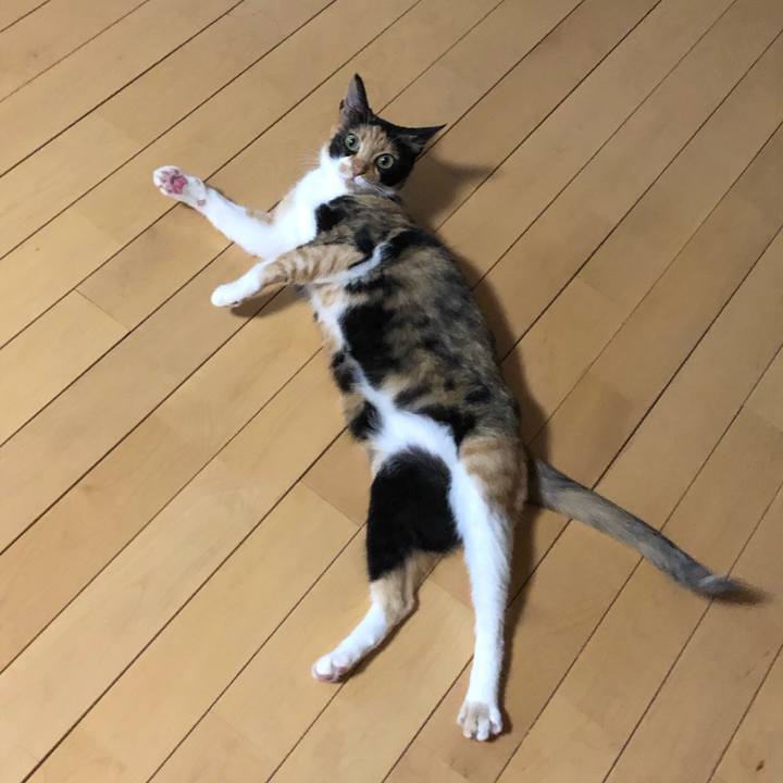 7f32a653 d467 49d6 b7cc 7b1d66e714ae 1562850952372