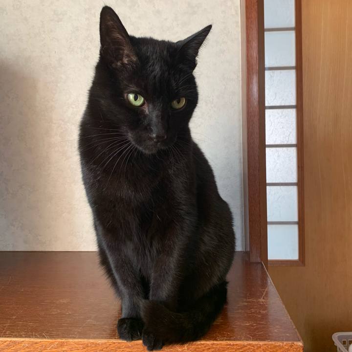 7f32b659 5dad 454a 8bca 20e9b01f7a27 1582767610727