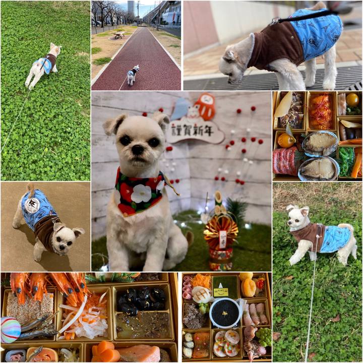 7f32d3f9 76ad 48d9 b0b5 b0098c67bf9b 1577851396202