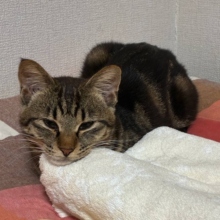 7f3306f3 07c9 48ee 9b4a fd8149faf097 1753704976966