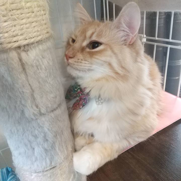 7f3351eb 938e 438e 9d3c c6df02c2fe62 1642381302449