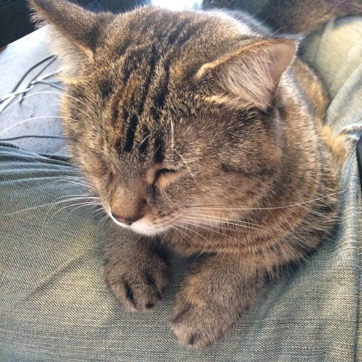 7f340681 5bc6 482c bda5 ecf6f0fbcf42 1603369771653