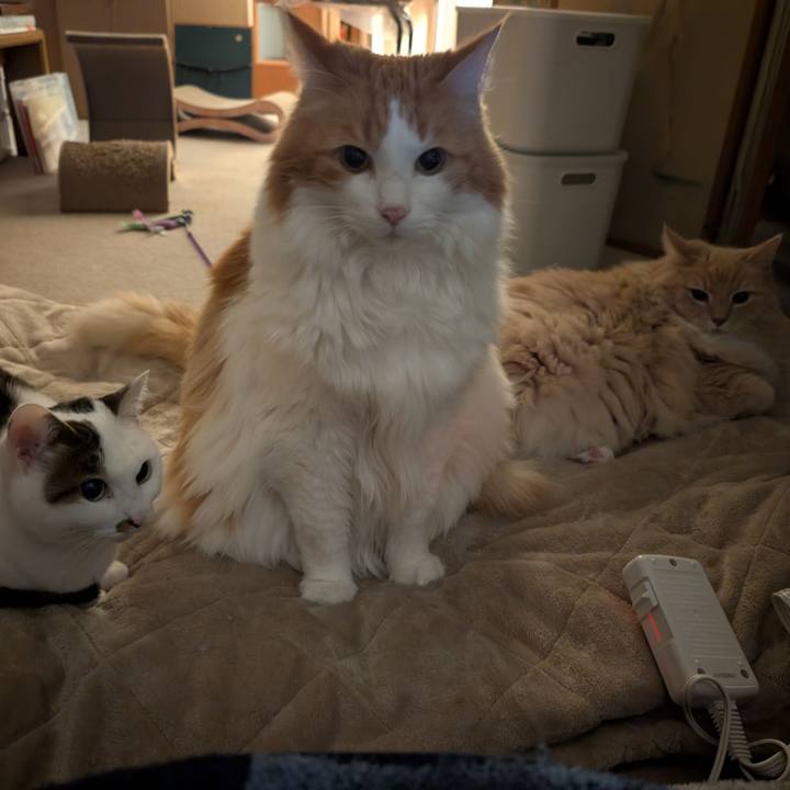 7f3444c9 5b05 4b34 afda fe0eb0ec971e 1769332927098